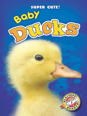 cover image of Baby Ducks